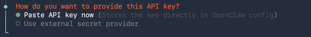 粘贴 API Key
